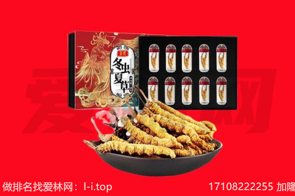 徐州邳州市回收虫草.jpg